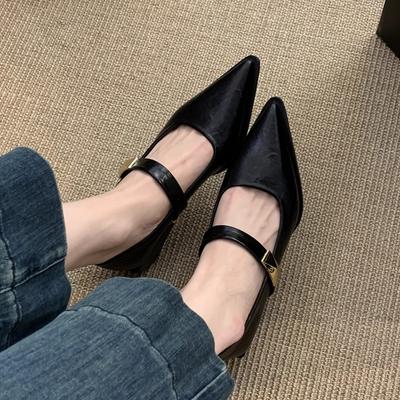 Shallow Mouth Pointed Single Shoes Women's New Temperament Commuting Thick Heel Mary Jane Small Leather Shoes