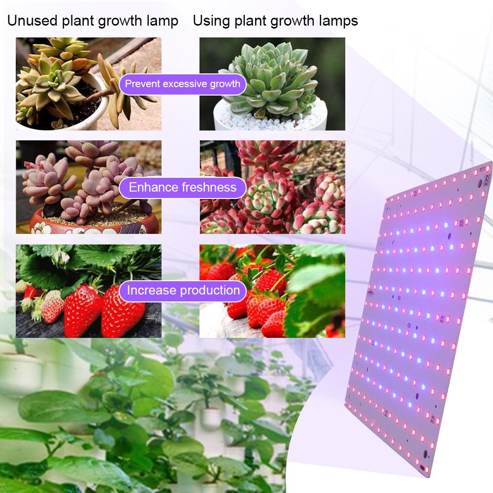 12W Indoor Grow Lights LED Grow Light Square Full Spectrum Plant Light Red Blue LED for Indoor Gardening Vegetables Grow Tent