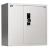 Tiger Brand Fingerprint Password Steel Security & Filing Cabinets