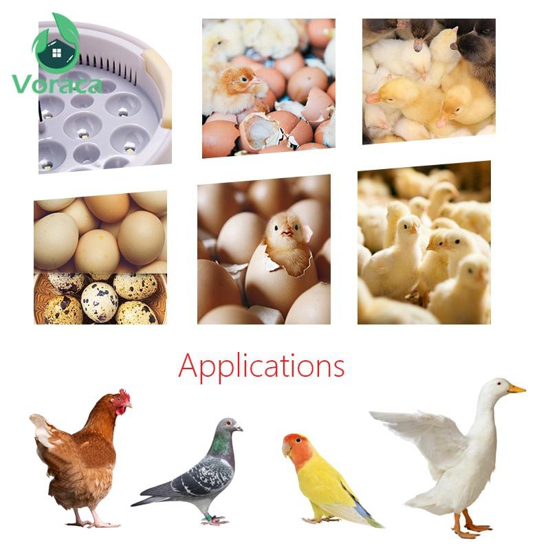 110V/220V Yumurta Kuluçka Makinesi LED Otomatik Civciv Çıkarma Makinesi Sıcaklık Kontrollü Dijital Kuluçka Makinesi 9 Yumurta Mini Civciv Büyütme Makinesi Kanatlı Kuş