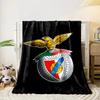 An Eagle Atop a Shield with a Banner and Symbolic Emblems. for All Seasons Blanket Lunch Break Throw Gift