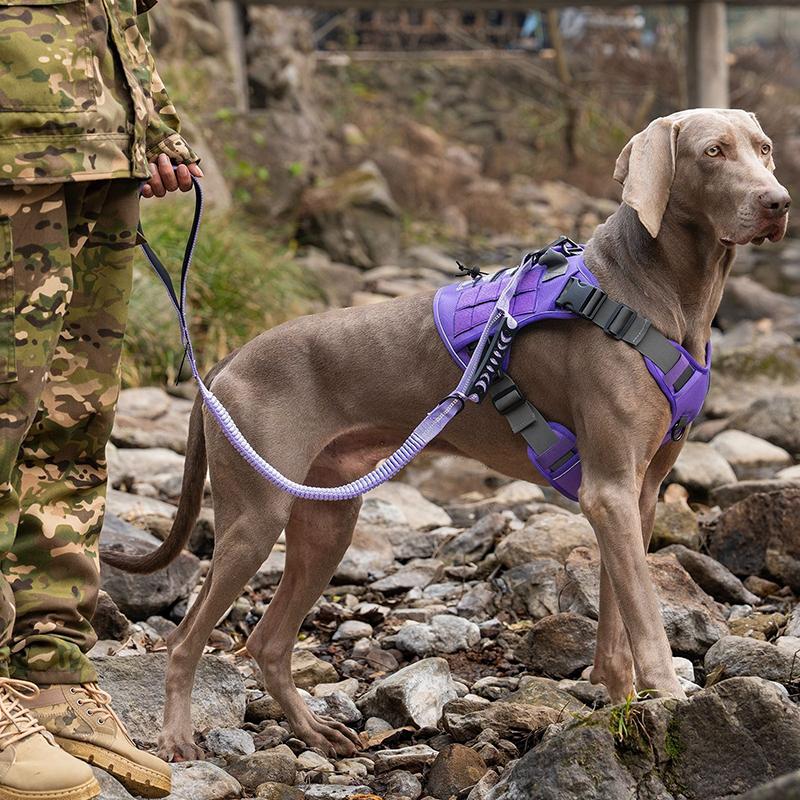 Elastic Buffer Reflective Dog Leash