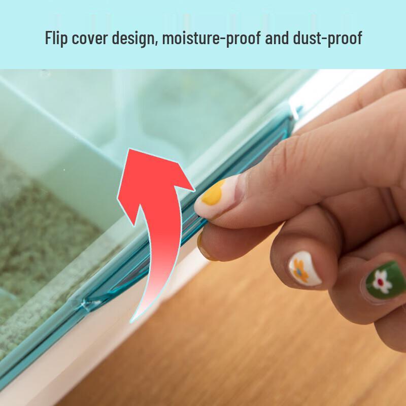 CHAHUA 4-Compartment Plastic Seasoning Box