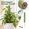 Cloth-Wrapped Coir Plant Support Sticks, 30-Piece Set for Climbing Plants