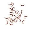 10 PIÈCES Nymphe Standard Midge pour la Pêche à la Mouche, Motif Truite pour Toute l'Année, Hameçon Doré sans Ardillon #16, Leurres d'Eau Douce pour la Pêche à la Mouche