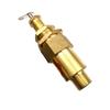 Copper Pressure Regulator Valve for Air Compressor with Construction for Stable and Accurate Pressure Adjustment