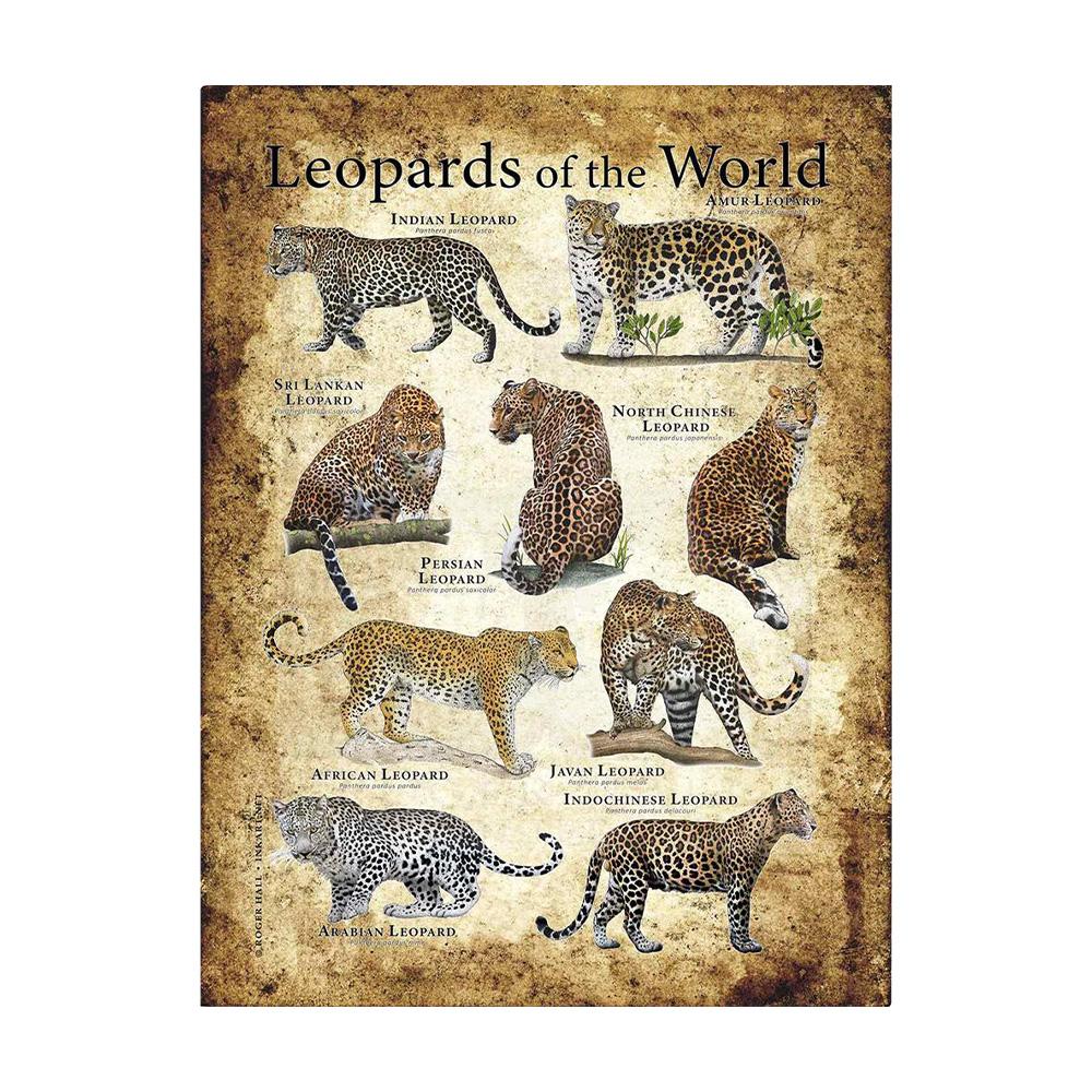 Abstrakt HD-tryck Fjäril Groda Fåglar Haj Marina Djur Collage Poster Canvas Målning Vintage Väggkonst För Barn Sovrum Heminredning