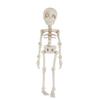Movable Skeleton Rack Refrigerator Sticker Exquisite Refrigerator Magnets  Children
