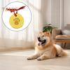 2 Pcs Dog/Cat Paw Print Kit DIY Pet Paw Print Hanging Ornament with Customization Tools And Display Stand Clay Pawprint Keepsake Kit