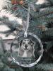 Australian Shepherd - Crystal Bauble with a Photo, Dog Photo In Crystal, Personalized Christmas Tree Ornament by Art-Dog Brand