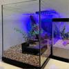 Aquarium Unterirdischer Tunnel Fisch- & Garnelenversteck für Aquarien Einzigartiger Unterwasser-Sichttunnel Co