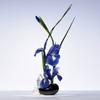 Giorgio Armani Iris Bleu Eau De Toilette(50/100ml)