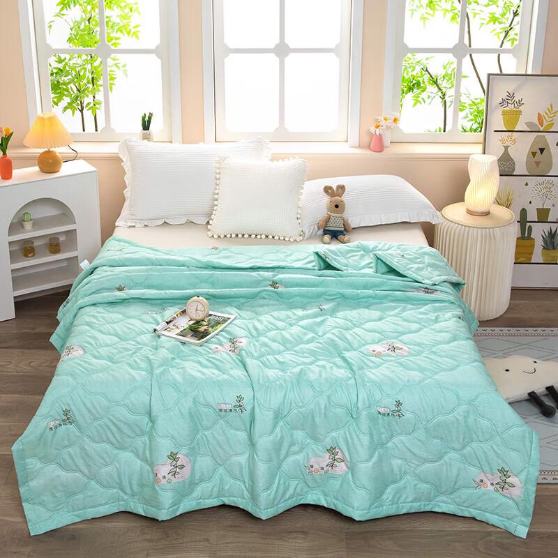 

Mint Skin-Friendly Summer Cooling Quilt