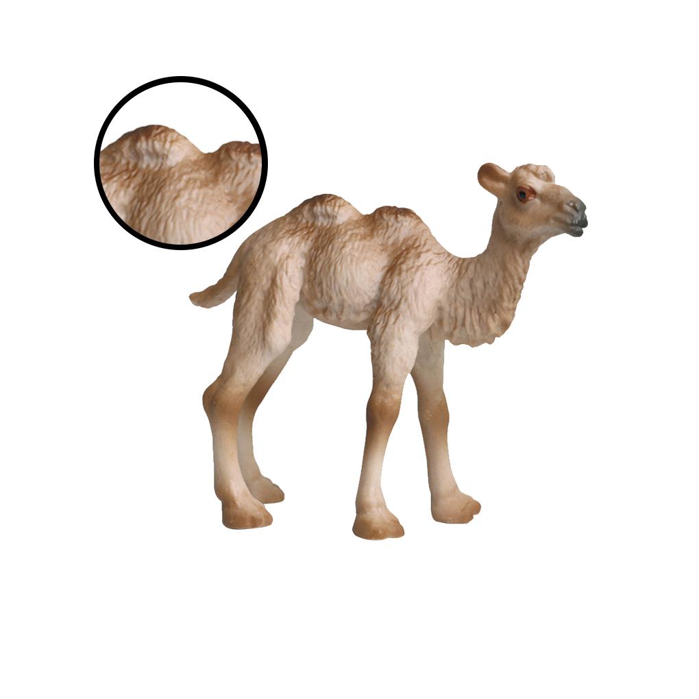 

Animal Models Solid Creature Models Educational Toy Plastic Simulation Wild Animal Toys