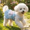 Korean Sweet Dog Princess Dress Lace Strap Dog Puff Skirt Pet Lace Dress  Outdoors Activities