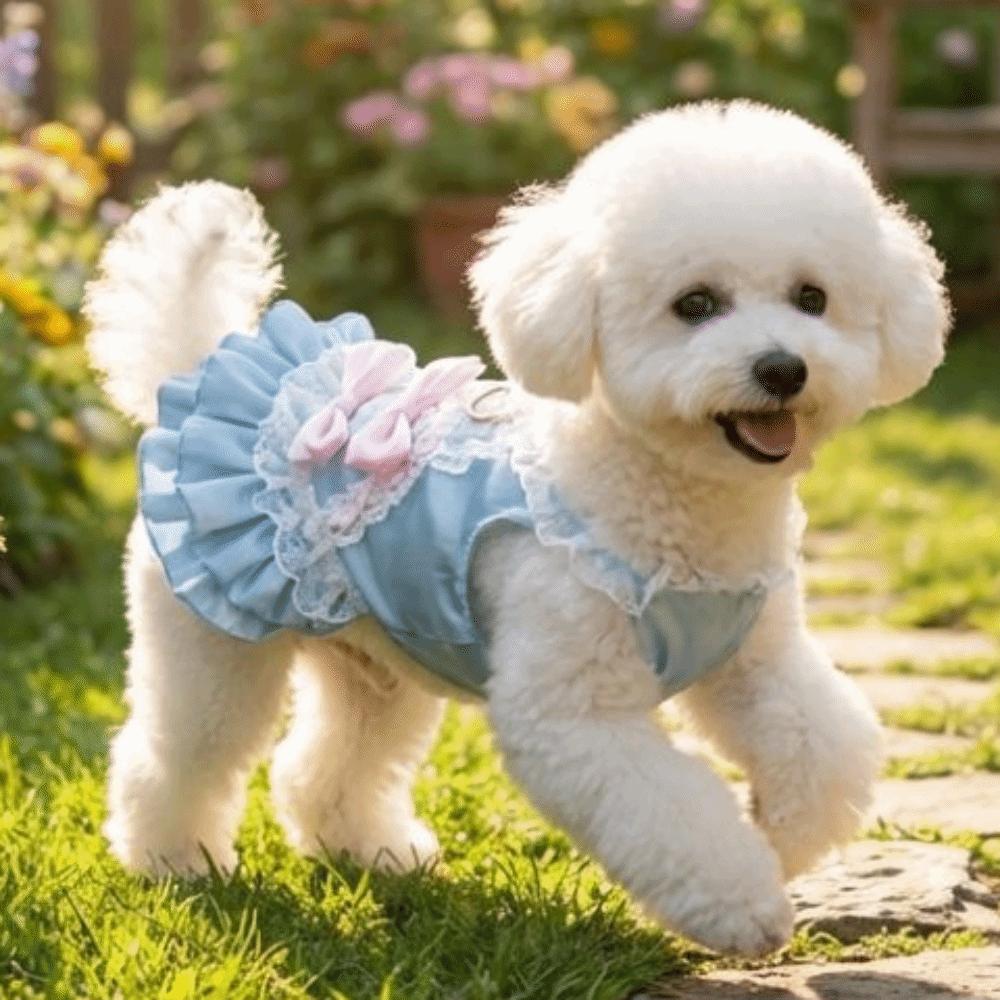 Korean Sweet Dog Princess Dress Lace Strap Dog Puff Skirt Pet Lace Dress  Outdoors Activities