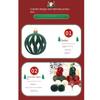 6pcs/Box Velvet Ball Christmas Gifts Boxes Pendant Plastic Christmas Gift Christmas Tree Ornament