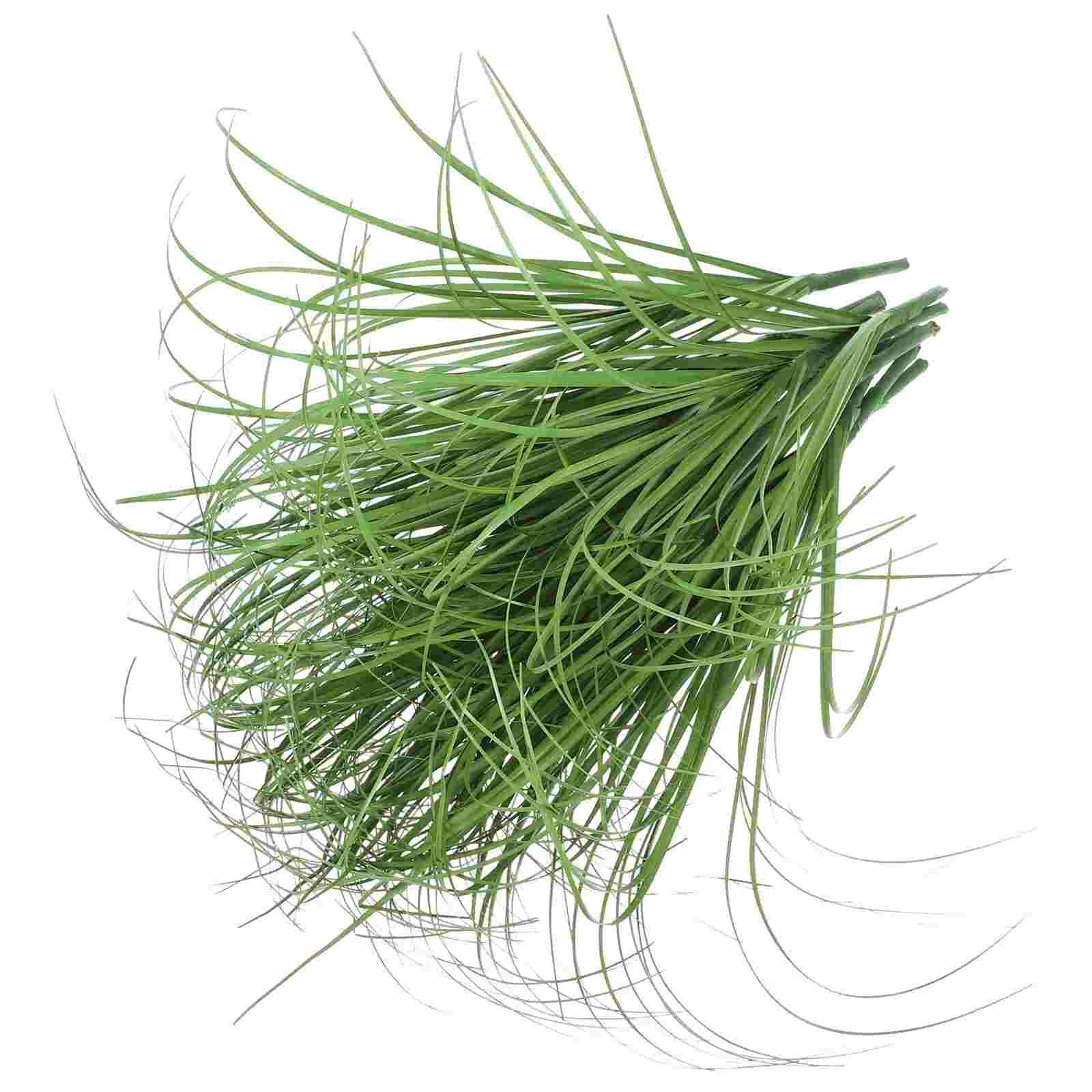 

12Pcs Simulation Grass Home Plant Stem Prop Model Plants Toys Plastic Artificial Green Leaf Fake Green Plants Home Decoration 30.00X22.00X22.00CM світло-зелений колір