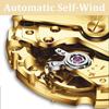 Mens Automatic Mechanical Watch Grey Skeleton Dial Luminous Hands Waterproof Business Wristwatch