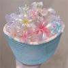 3Pcs/Set Gradient Flower Hair Claw Clip Acrylic Hairpin Plumeria Hawaiian Headwear  Beach
