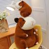 25CM Roztomilá plyšová hračka morče Hnědé holandské morče Kawaii Super měkká zvířecí panenka pro děti k narozeninám, vánoční dárek