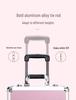 Professional Makeup Artist Trolley Case: Large Capacity Storage with Lock for Makeup, Nail, and Tattoo Tools.