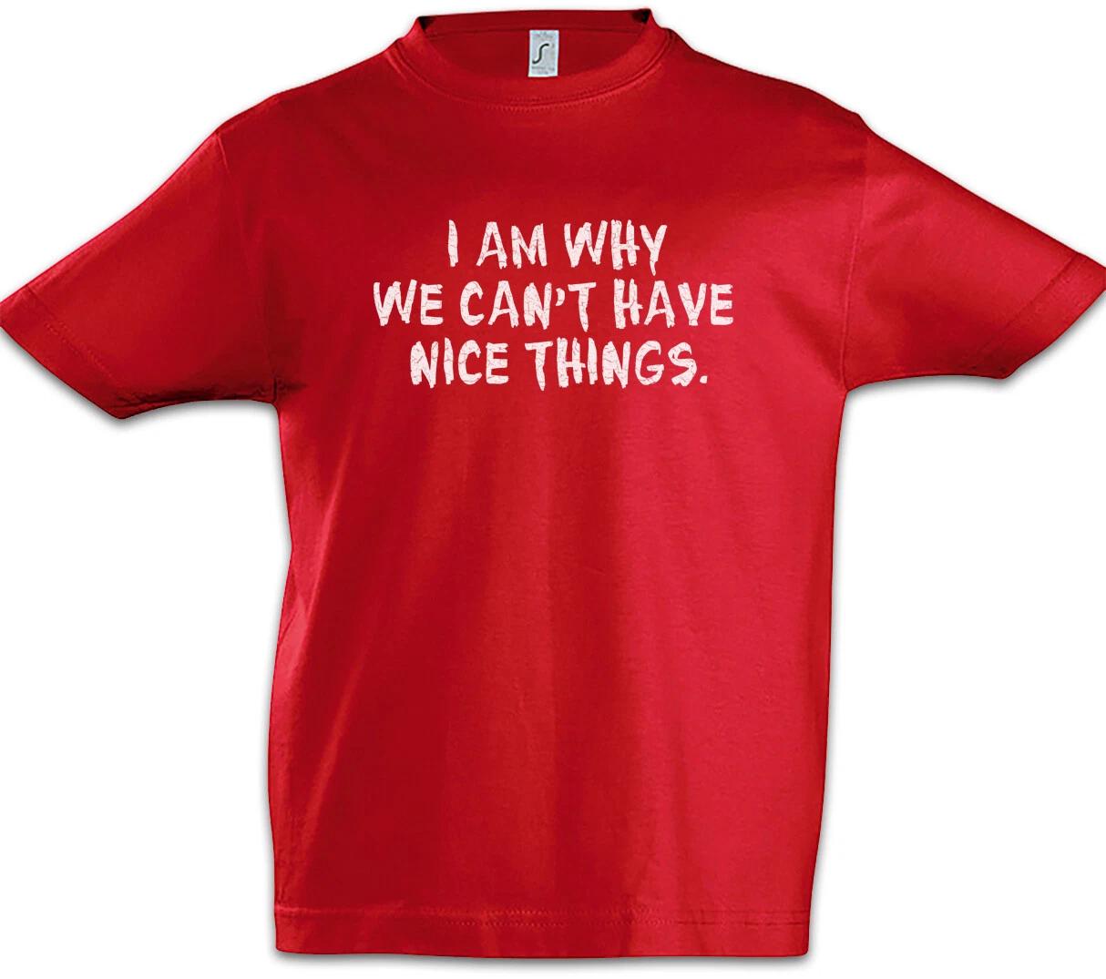 I Am Why We Can t Have Nice Things Boys kids boys T-Shirt Kids Kid Boys Girls Family Fun 120