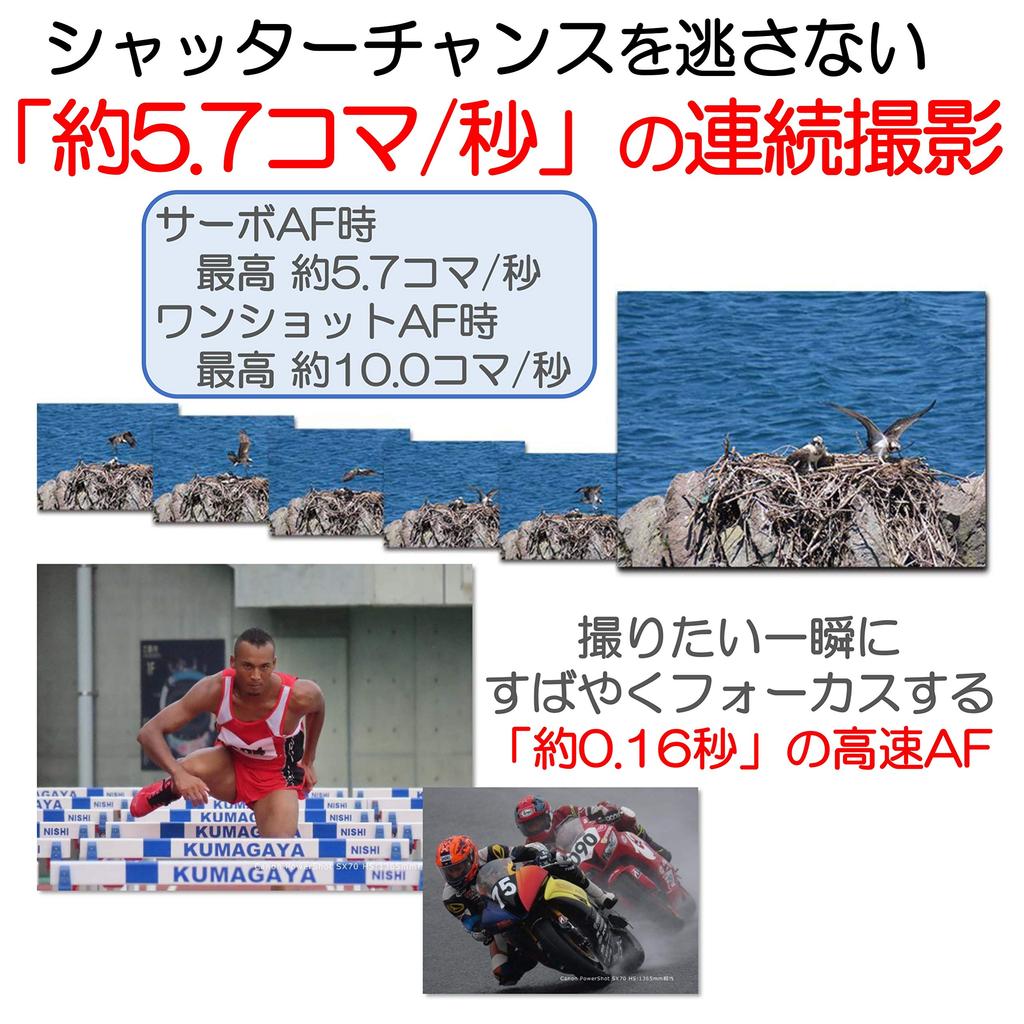 Canon PowerShot SX70 HS Compact Digital Camera with 65x Optical Zoom, Built-in EVF, and Wi-Fi