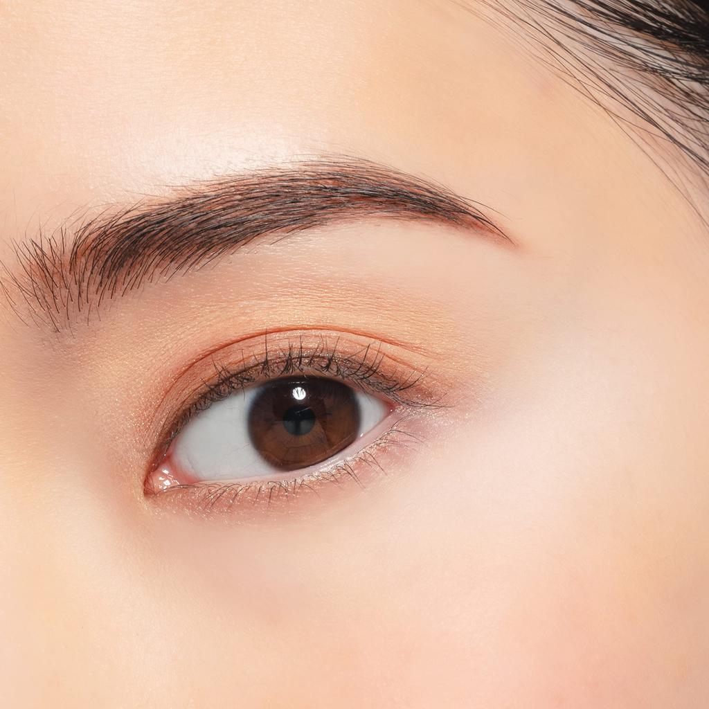 Chacott Multicolor Variation Matte MA24