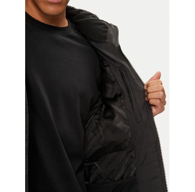 Зимняя куртка Dickies Waldenburg DK0A4YEY, черная, стандартного кроя