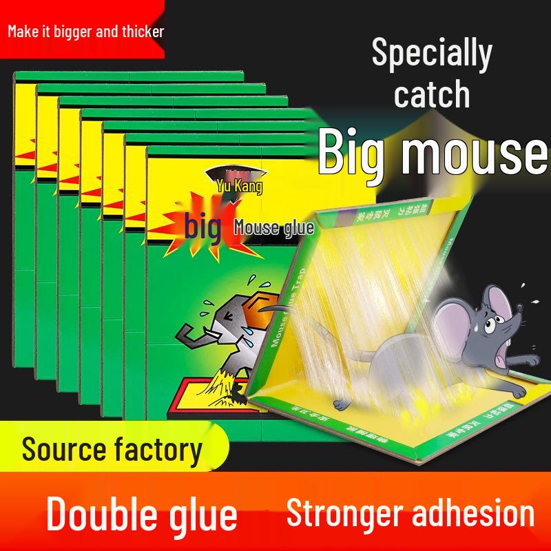 Non-Toxic Sticky Mouse Trap: Pest Control Sticker & Catcher