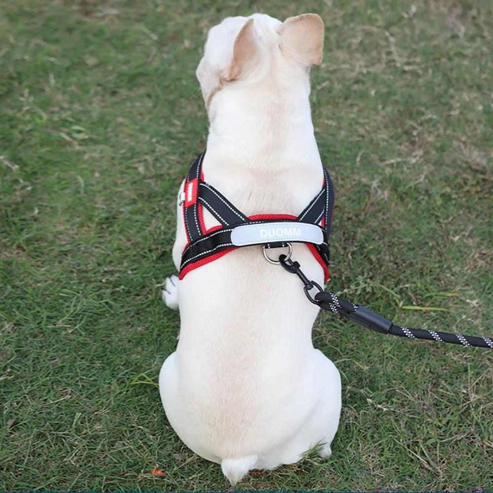 Spliced Colors Dog Harness Kit Adjustable Pet Walking Straps  for Small Medium Large Dogs