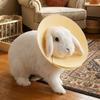Coleira Anti-Lambedura Ajustável Coleira Protetora Anti-Mordida para Pássaro Hamster Coelho