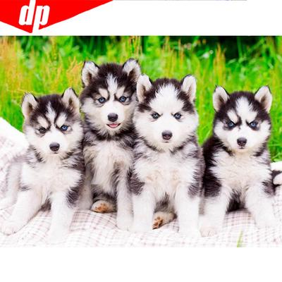 DIY Diamant Mosaik Tier voller runder Bohrer Hund Diamant Malerei Stickerei Verkauf