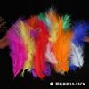 50Pcsdiy Color Feather Full Fleece Turkey Feather Clothing Antique Headdress Pet Toy Handicraft Decoration