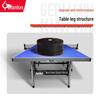 JEEANLEAN Competition-Level Foldable Table Tennis Table