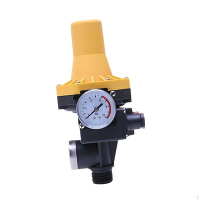 Automatic Water Pump with Gauge Waters Pumps Switch for Industrial Irrigation Yard
