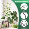 2x Black Small Metal Trellis For Pots Sturdy Support For Indoor Climbing Plants Indoor Plant Support