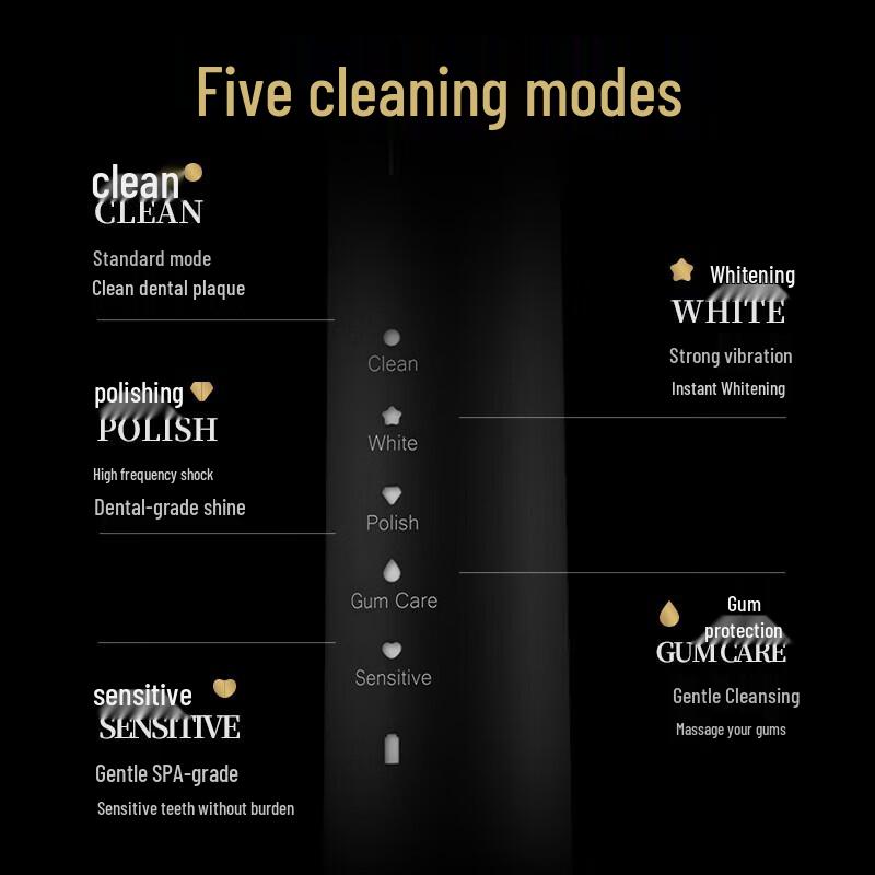 Lion Magnetic Sonic Electric Toothbrush Set