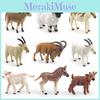 Donkey Pvc Model With Realistic Farm Figures For Educational Display And Collection