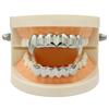Popular Halloween Hip Hop Gold Vampire Wolf Fang Grillz
