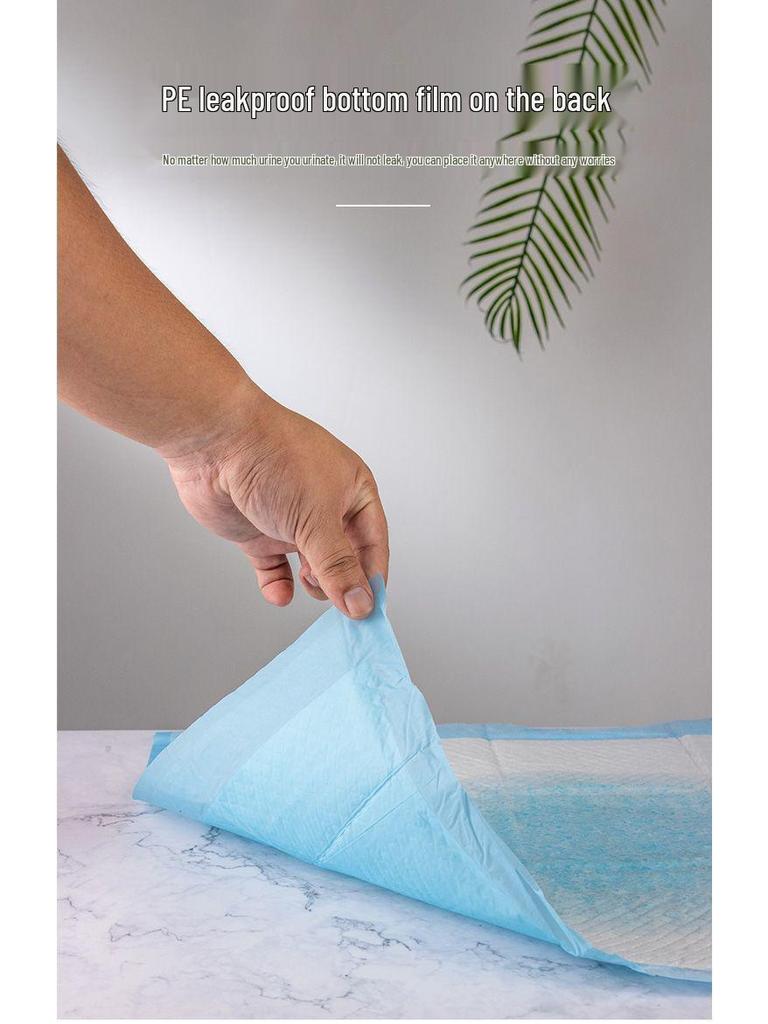 Thickened Deodorizing Dog Pee Pads | Absorbent Disposable Pet Toilet Pads