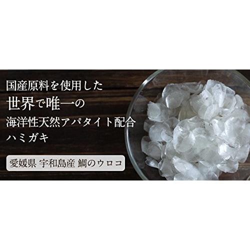 RUKEN Kirarun Toothpaste Powder Type, Mint, 55g (x 1)