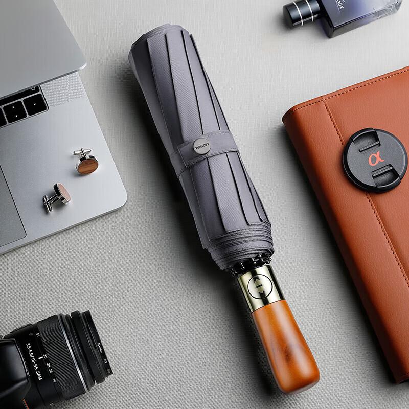 ZUODU 10-Rib Automatic Folding Umbrella