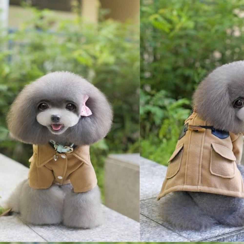 

Шерстяное пальто для домашних животных на осень-зиму, одежда для домашних животных, пальто для собак, ветровка для собак, симпатичное пальто, свитер для собак для маленьких собак, одежда для щенков XL