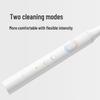 Xiaomi T100 Sonic Electric Toothbrush