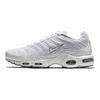 Air Max Plus