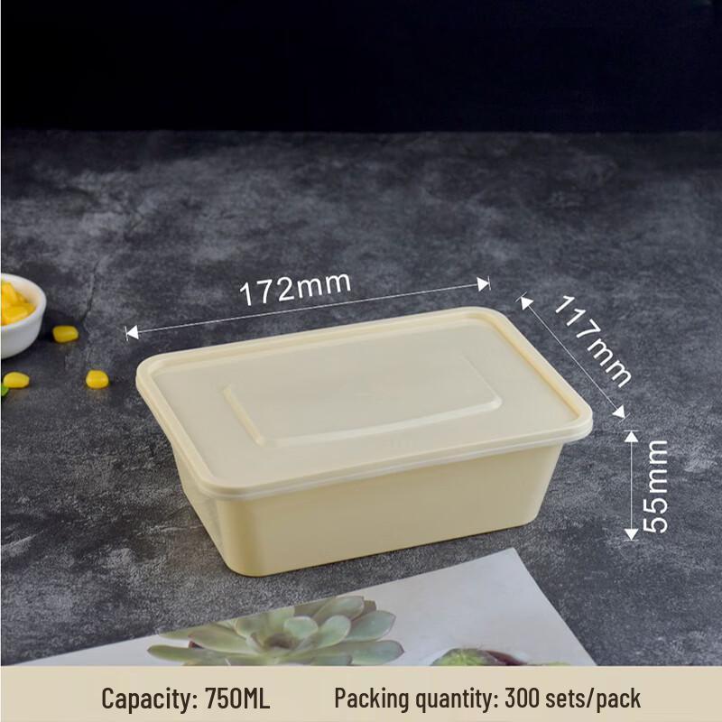 Jingzhifeng Biodegradable Corn Starch Takeout Containers