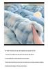 Winter Rabbit Fur & Milk Velvet Four-Piece Bedding Set with Fleece Duvet Cover - High GSM, Perfect for Dormitory.