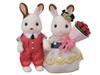 Sylvanian Families Town [Lovely Town Couple] TVS-08